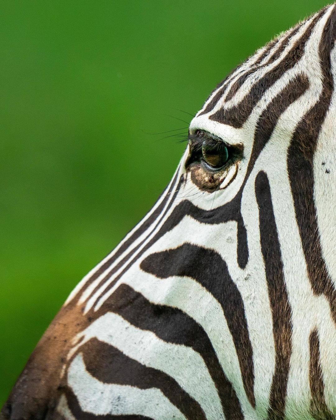 Tanzania